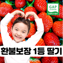 [확실한 딸기] 고당도 아농이 논산 설향 생 딸기, 맛없으면 환불 특 24구 (800g 내외)
