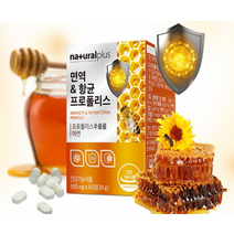 내츄럴플러스 비염 프로폴리스 효과 항산화 만성 염증 면역력 구내염 영양제 플라보노이드