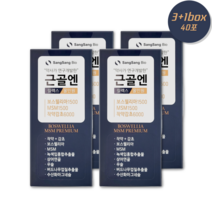 약사 연구개발 관절 연골 근골엔 5 300mg 콘드로이친 보스웰리아 MSM, 3+1상자 (25%)