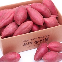 직거래농민장터 햇 고구마 퍽퍽달콤한 세척 꿀고구마 꿀밤고구마, 34_세척 꿀고구마 5kg 특, 1개