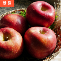 경북 청송 안동 미얀마 미야비 가정용 못난이 특등급 부사 5KG 1박스, 최상품(한입사과), 5kg 소 (18-22과내외)