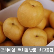 영화청과 국내산 배 10kg 프리미엄 백화점 남품 시세zf+27, 1, 본상품선택