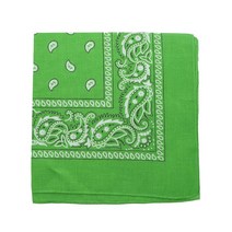 Motique Accessories 55.9cm(22인치) 면 페이즐리 반다나 핫 핑크, Apple Green