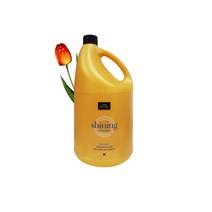 미쟝센 헤어테라피 샤이닝 모이스처 샴푸 4200ml 1개 수분가득 촉촉한 찰랑거리는, 4200ml 1 수분가득,촉촉한,찰랑거리는, 999