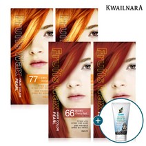 과일나라 진주펄 염색약 스페셜 4개세트+폼클렌징 120ml, 밝은갈색5호 2개 금빛황갈색9호