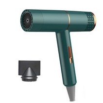 개 미용 건조기 애완 동물 머리 고양이 송풍기 따뜻한 바람 1000w Eu 플러그 차가운 뜨거운 공기 히터 중형 작은 강아지, Green-EU Plug