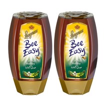 랑네제 비이지 포레스트 허니 250g x 2개, 단품