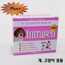 현명한chs_인트라젠 플러스(plus+) 스틱 (2gx30p) 애완용영양제 강아지종합 견장건강 애견 소형♥blsajos, ♥blsajos, ♥blsajos
