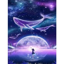 하루클래스 LED 캔버스형 보석십자수, H15. 고래와 우주(30X40)