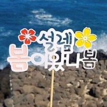 리본토퍼 여행토퍼 봄토퍼