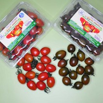 스테비아 대추 방울 애플 블랙 토마토 토망고 1kg 2kg 산지직송, 흑 애플마토 2kg