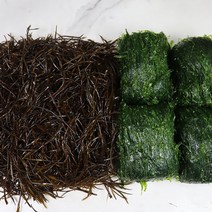 바다의 불로초 생톳 생파래 천연비타민 오도독 식감과 바다향 향긋한 영양가득, 생 파래 4재기 1.6kg내외