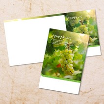교회주보 예배 주보용지 3단6면 주보지 안내지 전도지 절기 부활절 추수감사 맥추감사 성탄절 신년감사 디자인 기독교용품, EW-54