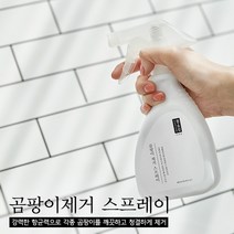 청소신 곰팡이 퇴치 스프레이, 4개, 300ml