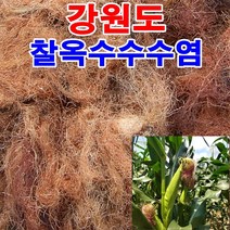 우리네농산 강원도 옥수수 수염 100g 햇볕에 잘 말린 깨끗한 옥수수수염 옥수수수염차 산지직배송