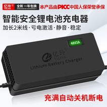 주행충전기 인산철 주행 충전기 이동형 배터리 자동차 오토바이피닉스 접이식 전기 리튬 48v 리튬 이온 54.6v2a 운전 자전거 36 볼트에 적합, 피닉스 전원 차단 모델 48v2a(54.6v) 접
