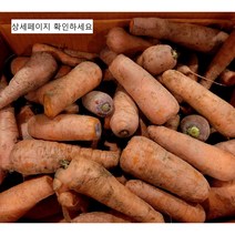 국산 바로 갈아먹는 못난이 당근, 못난이 당근 3kg x 1box