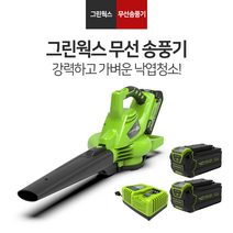 그린웍스 흡입겸용 송풍기 블로워 40v 브로워 낙엽청소기 제설기 무선, 40V흡입겸용브로워+5Ah배터리2개+고속충전기, 1개