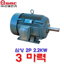 신명전기 TEFC 삼상 2극 2.2KW 3마력 모터 유도전동기 2P 전폐형 모터, 삼상 2.2KW(3마력) 2극