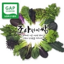 [조아쌈] GAP 모듬 쌈채소 샐러드 야채 당일 수확 당일배송, 쌈채소 모듬쌈 500g