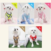 촉촉 부드러운 노묘 간식 3개 습식캡슐 수분공급 고양이젤리 츄르 소용량 고양이 영양공급 말캉말캉 반려묘