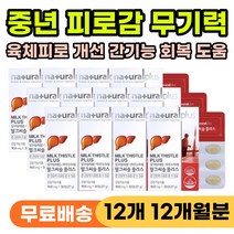 직장인 남편 회식 야근 무기력 피로감 간청소 간건강 육체 피로 개선 활력 남자 여성 피곤할때 먹는 영양제 간보호제 간기능 개선제 간에좋은 밀크시슬 기운 없을때 체력 떨어질때 추천