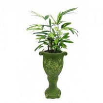 서황금 공기정화식물 미세먼지식물 가습식물, 선택안함