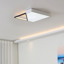 LED 프레아 분할점등 조명 전등 거실등 천장등 인테리어 60W 방등