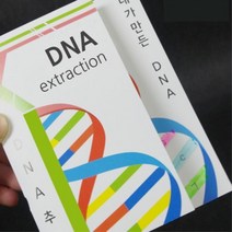염기짝찾기 DNA추출 식물세포 실험키트 10인 관찰학습 언어발달 오감 돌봄교실 교구