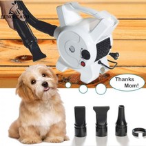애견드라이기 대형견 드라이룸 애완 동물 헤어 드라이어 2400w 개 정리 기 물 불어 기계 목욕 유물, White