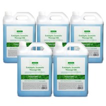 에스테소피 마사지오일 5L_페퍼민트 대용량아로마, 5000ml, 5개