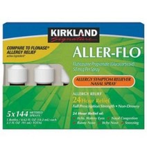 커클랜드 스프레이 비염콧물 나잘스프레이 ALLER-FLO, 1개, 91ml