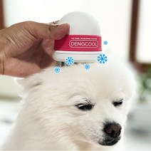 강아지 여름 더울때 강아지 쿨링 아이스팩 여름나기 여름용품 쿨링빗 댕쿨, 핑크