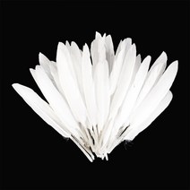 거위깃털 대 약4~5.3cm×18~21cm 흰색 100개 자연재료 거위털 인디언장식 노리프렌즈 만들기재료