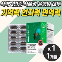 인지기능개선 기억력에좋은영양제 뇌건강 뇌기능활성화 노인영양제 징코 포스타딜세린 캐나다산 징코추출물 대두레시틴 기억력저하 보조제 개선제 부모님 뇌혈관 뇌건강 70대 80대 PS