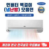 캐리어 냉난방기 인버터 절전형 벽걸이에어컨 가정용 업소용 사무실 냉온풍기 / 기본설치비 포함, [선택04] 13평형 냉.난방 인버터 벽걸이, 기본설치포함