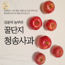 청송사과 꿀사과 부사 사과 5kg 10kg 10키로, 5kg / 선물용 포장 특대과/15-16과
