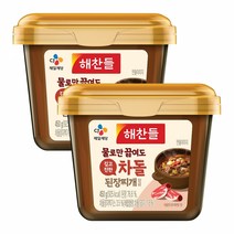 그대로끓여먹는차돌된장찌개양념450G X2개, 단품