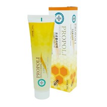 비엔케어 파워킹 프로폴리스 치약 200g프로폴리스추출물 3000mg 충치 예방, 4개, 200g