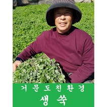 생쑥 햇쑥 거문도쑥 해풍 생쑥 1kg 친환경쑥 100% 무농약쑥 나물쑥 거문도농수산 직접재배 판매 쑥, 1봉