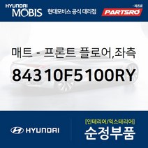 프론트 플로어 매트 좌측 (84310F5100RY) 현대모비스 부품몰 아슬란