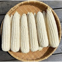 방씨아들 산지출고 햇 당도보장 미백 찰옥수수, 특품 15개입