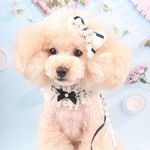 팝앤퍼피 셔링케이프+헤어핀세트, L, 네이비