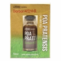 이스타 바바 씨앗수초 (미니헤어타입), 단품