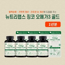 중년 노년 어르신 기억력 집중력 뇌 두뇌 머리 기능 혈행 혈관 건강 회복 관리 개선 에 좋은 은행잎 징코 오메가3 복합 보조 영양제, 4BOX(1년분)