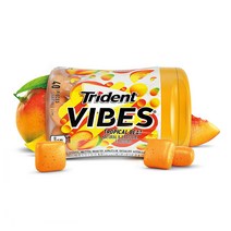 Trident 트라이던트 트로피컬비트 40개입 6팩, 6개