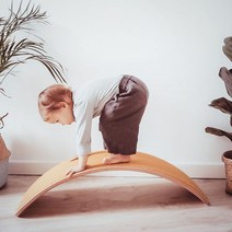 중심잡기운동기구 붕어운동기구 서핑연습 단련 강화, 핑크 펠트 보드(바스우드 두께 1.5cm)