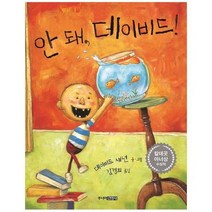 안돼 데이비드, 상품명