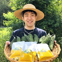 유어네이처 건강아띠 유기농 여주즙 100포 90ml