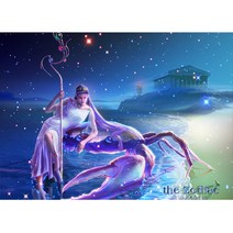 대진 보석십자수 40X80 50X40 사이즈 대형 금전운 보석 십자수, 52 게자리 40x50, new